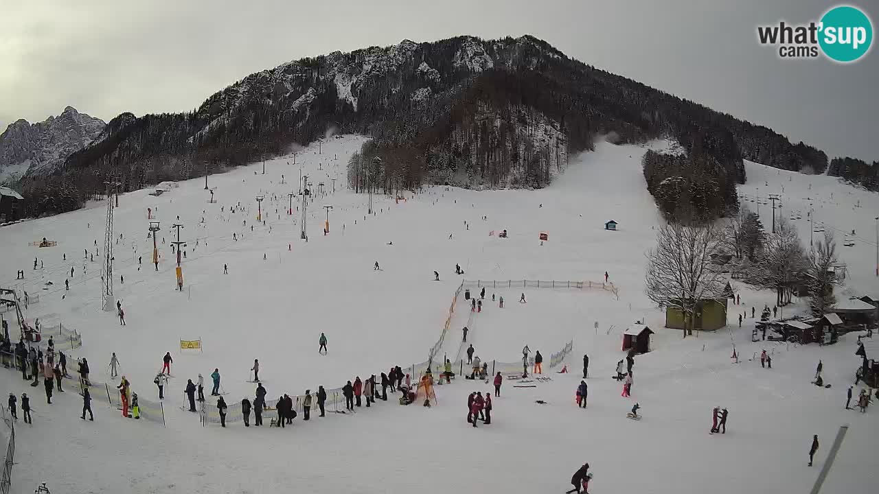 Meteo Kranjska Gora webcam | Piste da sci Kekec – Mojca – Rožle