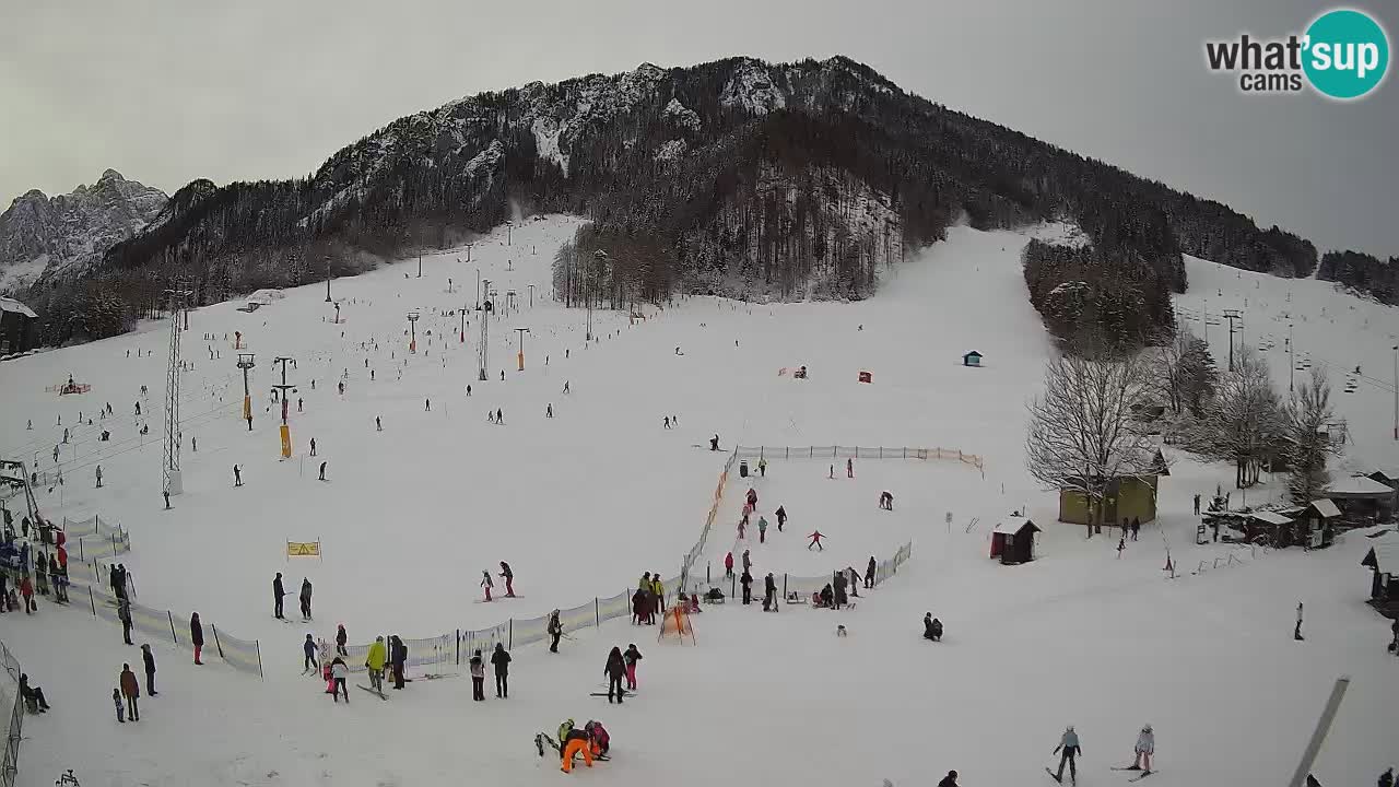 Meteo Kranjska Gora webcam | Piste da sci Kekec – Mojca – Rožle