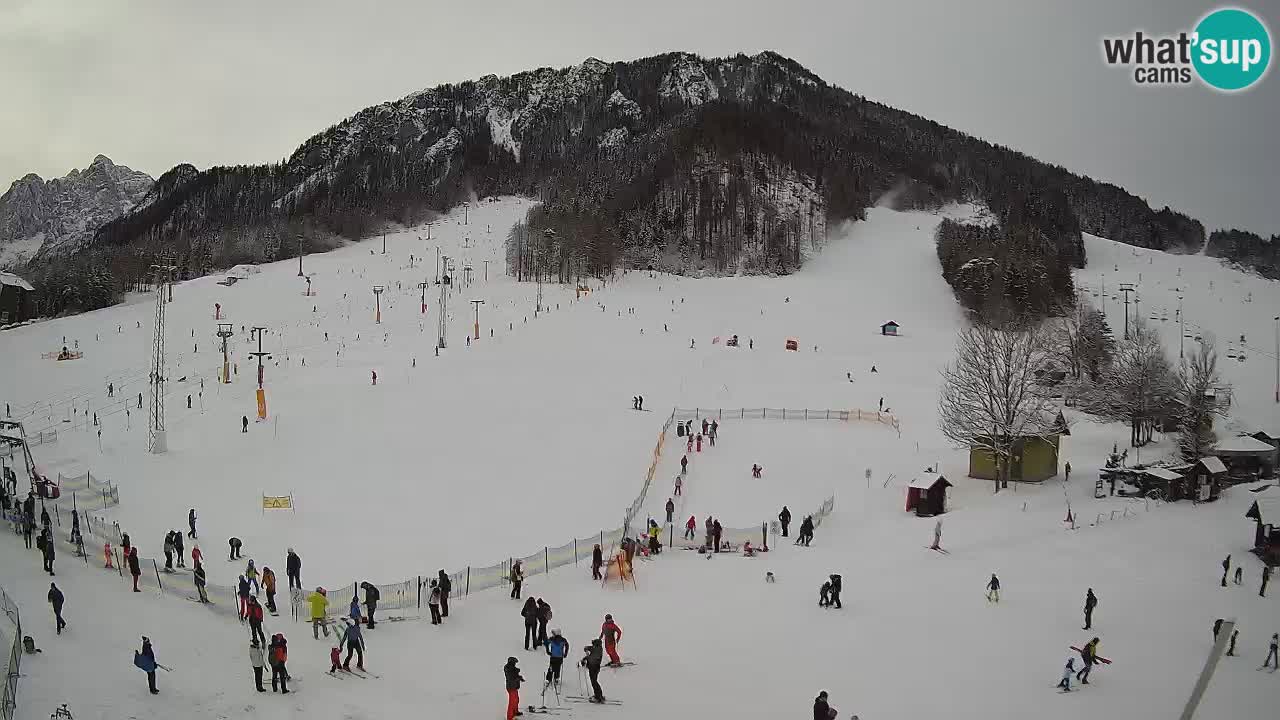 Kranjska Gora Slovénie webcam | Ski Mojca – Rožle – Kekec