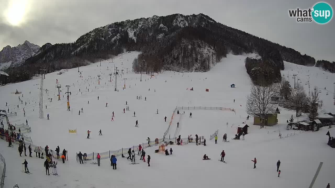 Kranjska Gora SKI area | Mojca – Rožle – Kekec ski sloap