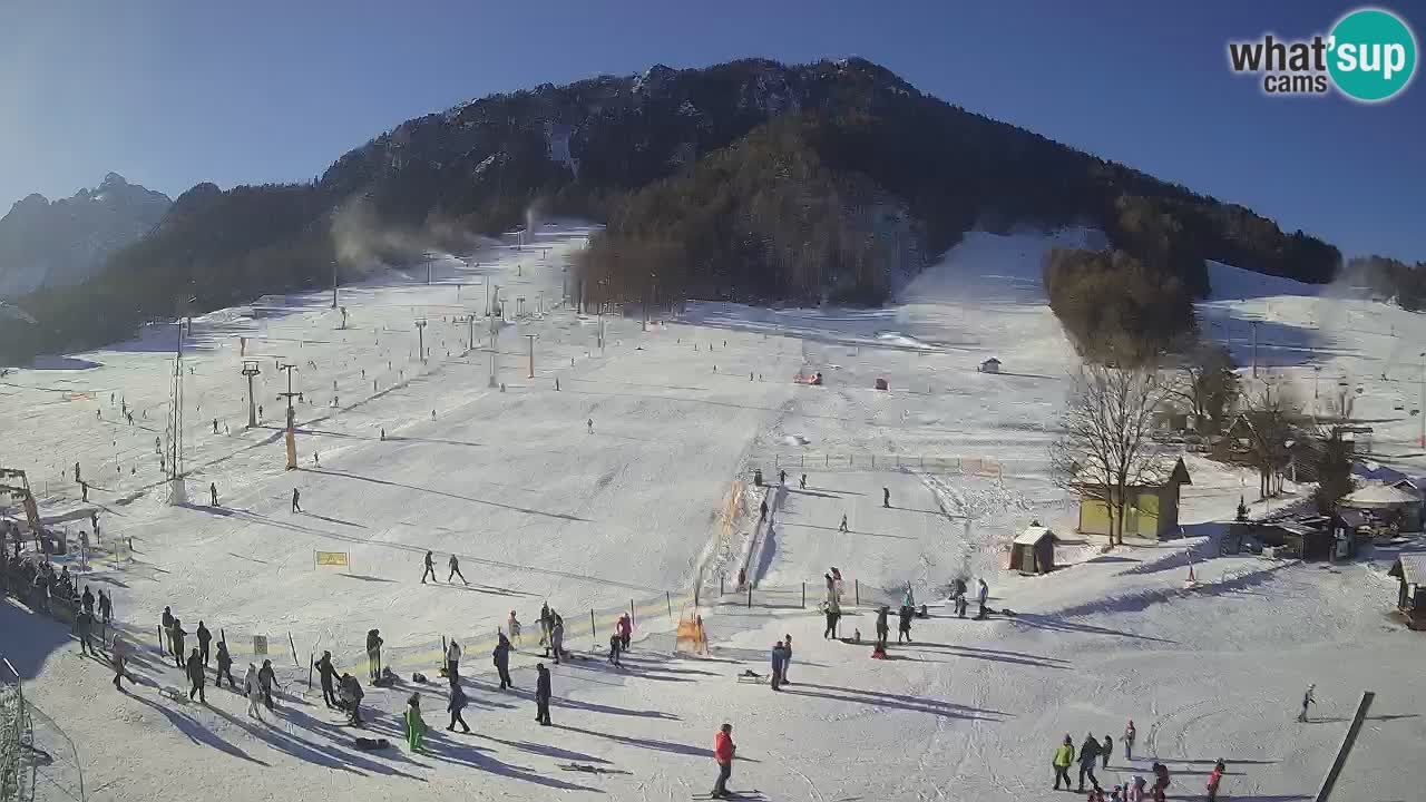 Kranjska Gora Slovénie webcam | Ski Mojca – Rožle – Kekec