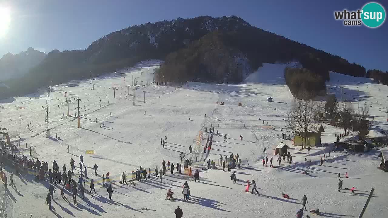 Meteo Kranjska Gora webcam | Piste da sci Kekec – Mojca – Rožle