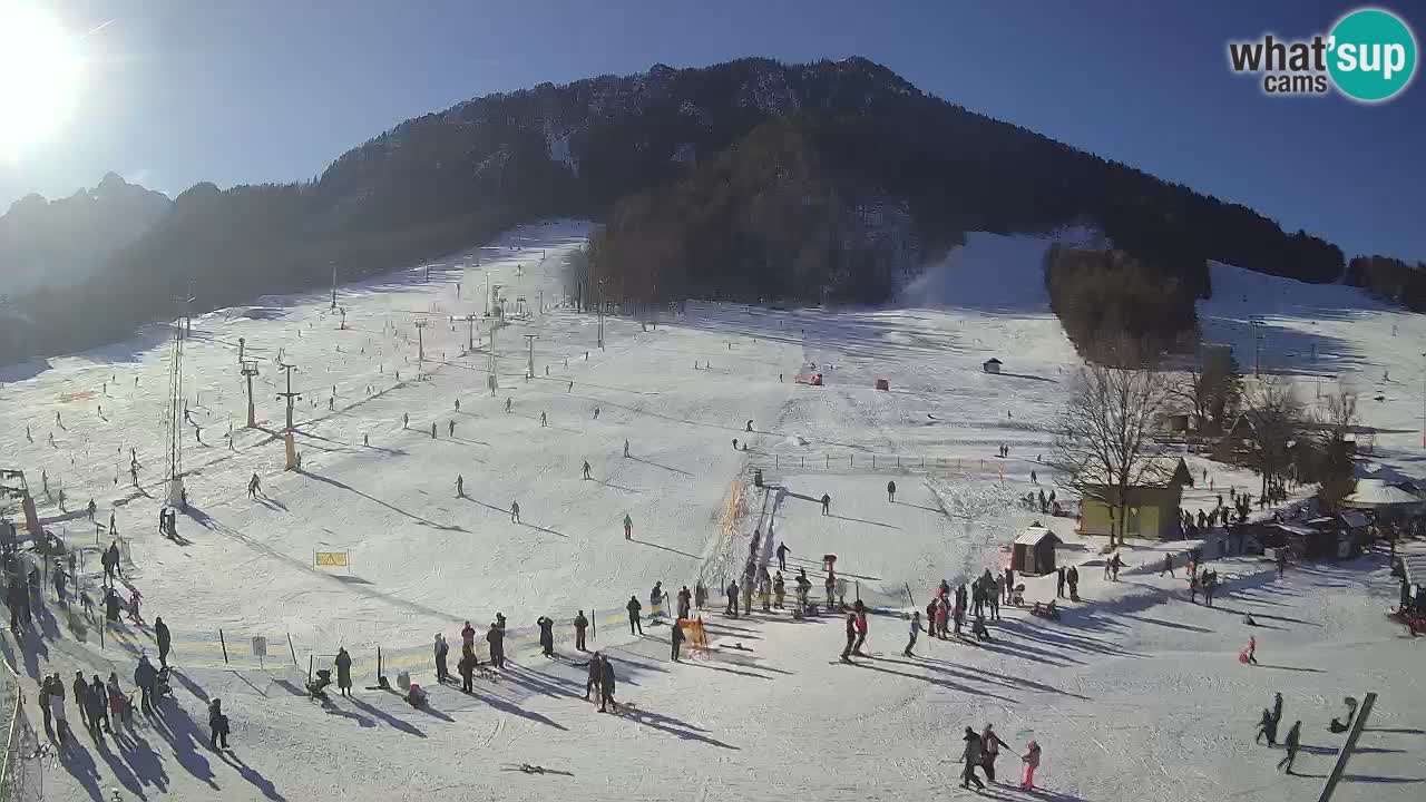 Meteo Kranjska Gora webcam | Piste da sci Kekec – Mojca – Rožle