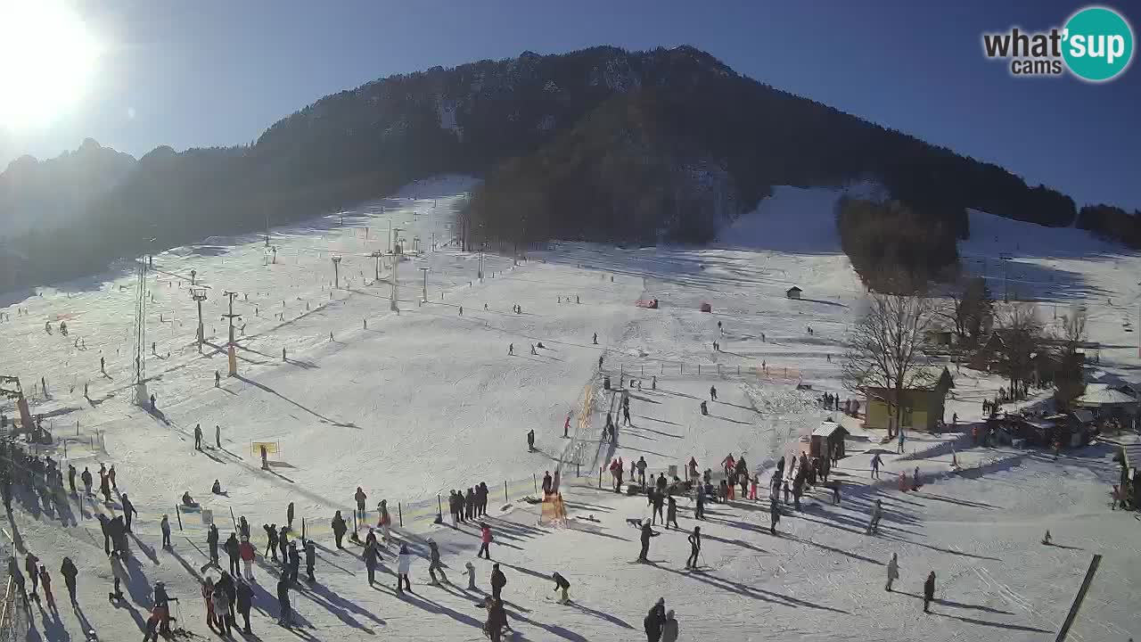 Meteo Kranjska Gora webcam | Piste da sci Kekec – Mojca – Rožle