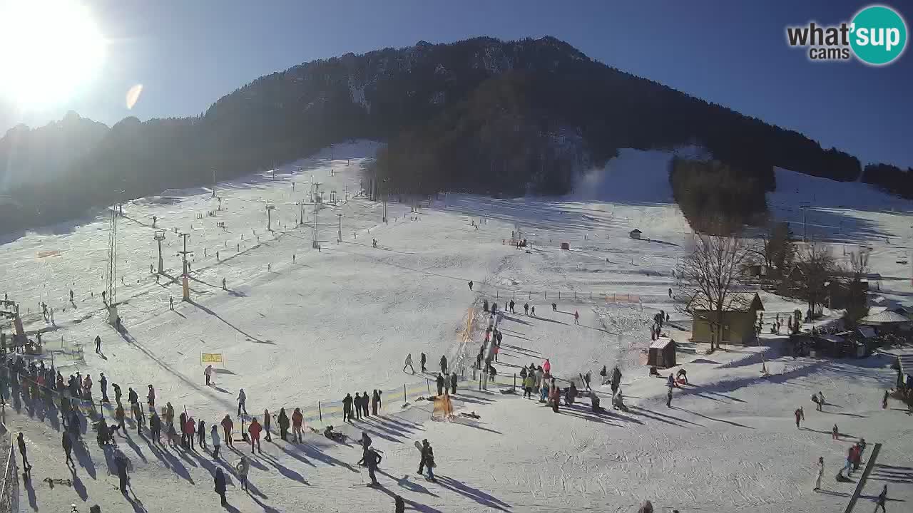 Meteo Kranjska Gora webcam | Piste da sci Kekec – Mojca – Rožle