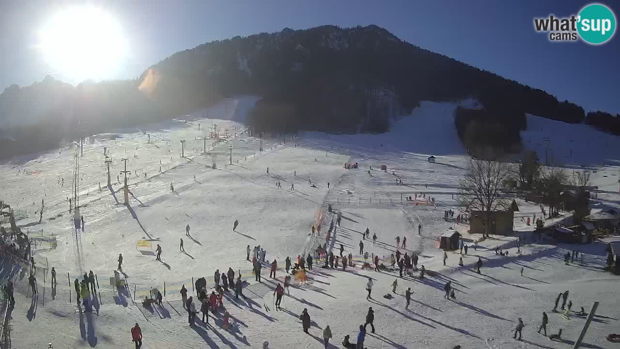 Meteo Kranjska Gora webcam | Piste da sci Kekec – Mojca – Rožle