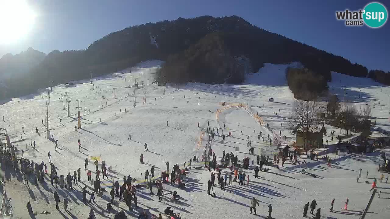 Kranjska Gora SKI area | Mojca – Rožle – Kekec ski sloap