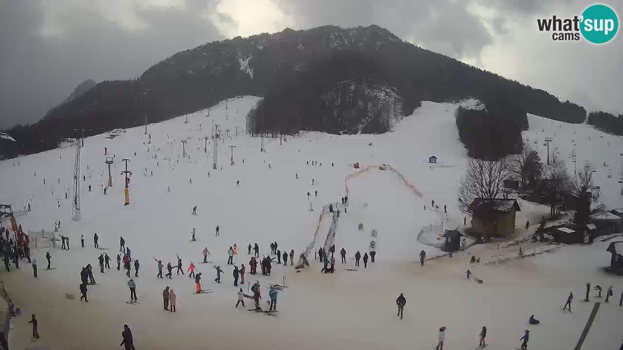 Meteo Kranjska Gora webcam | Piste da sci Kekec – Mojca – Rožle