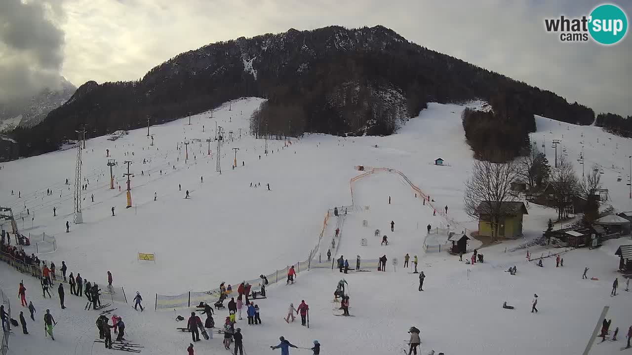 Meteo Kranjska Gora webcam | Piste da sci Kekec – Mojca – Rožle