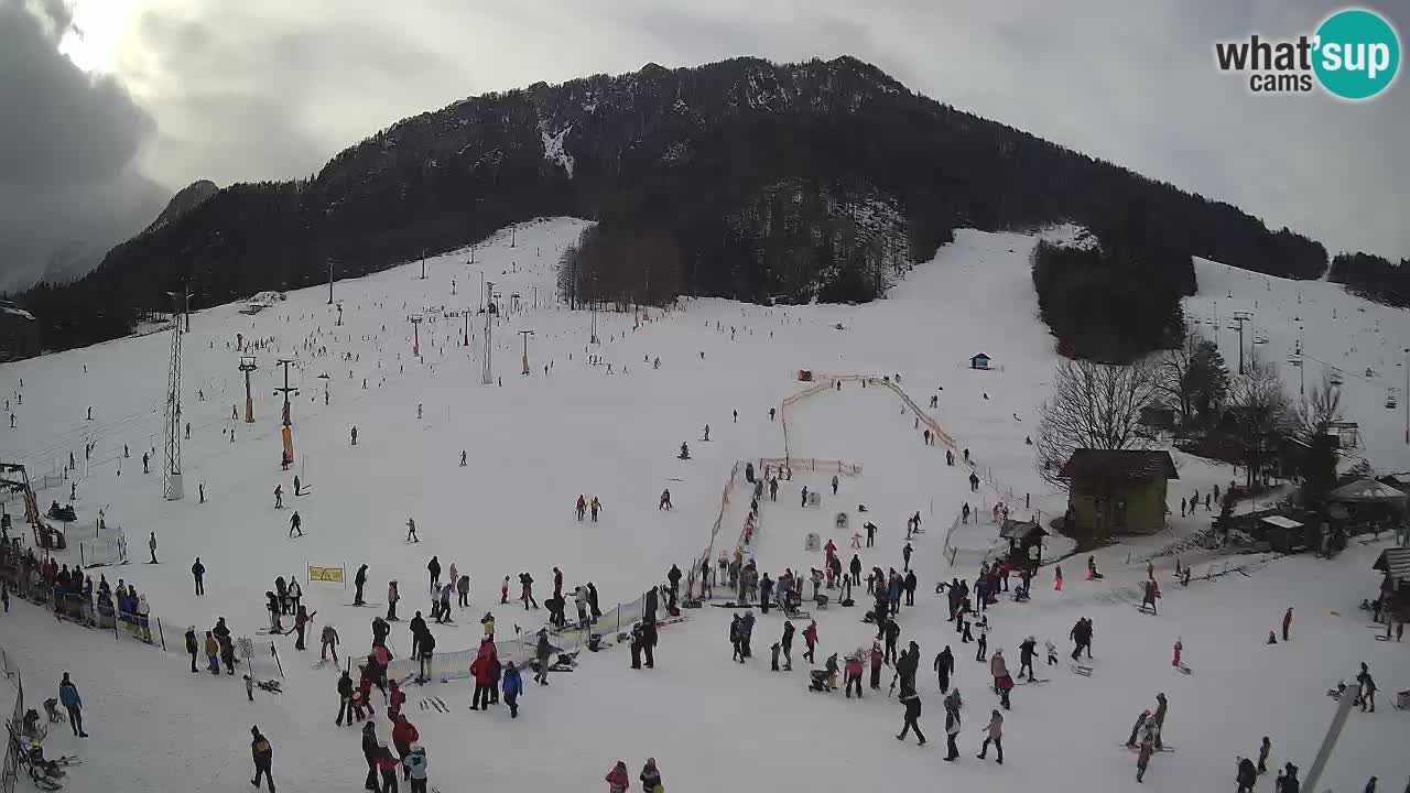 Meteo Kranjska Gora webcam | Piste da sci Kekec – Mojca – Rožle