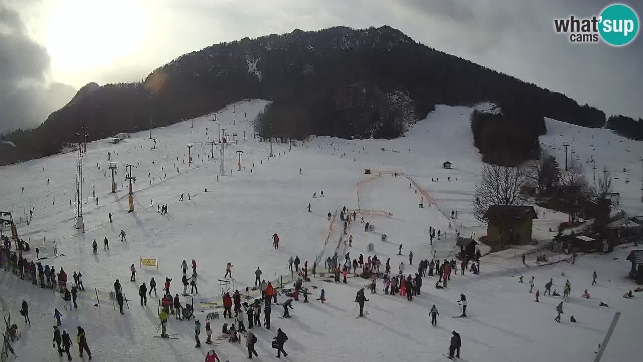 Kranjska Gora Slowenien webcam | Skigebiet Mojca – Rožle – Kekec