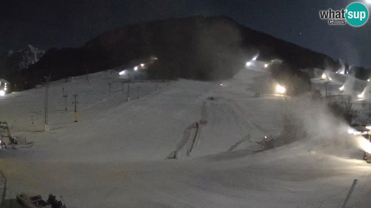 Meteo Kranjska Gora webcam | Piste da sci Kekec – Mojca – Rožle