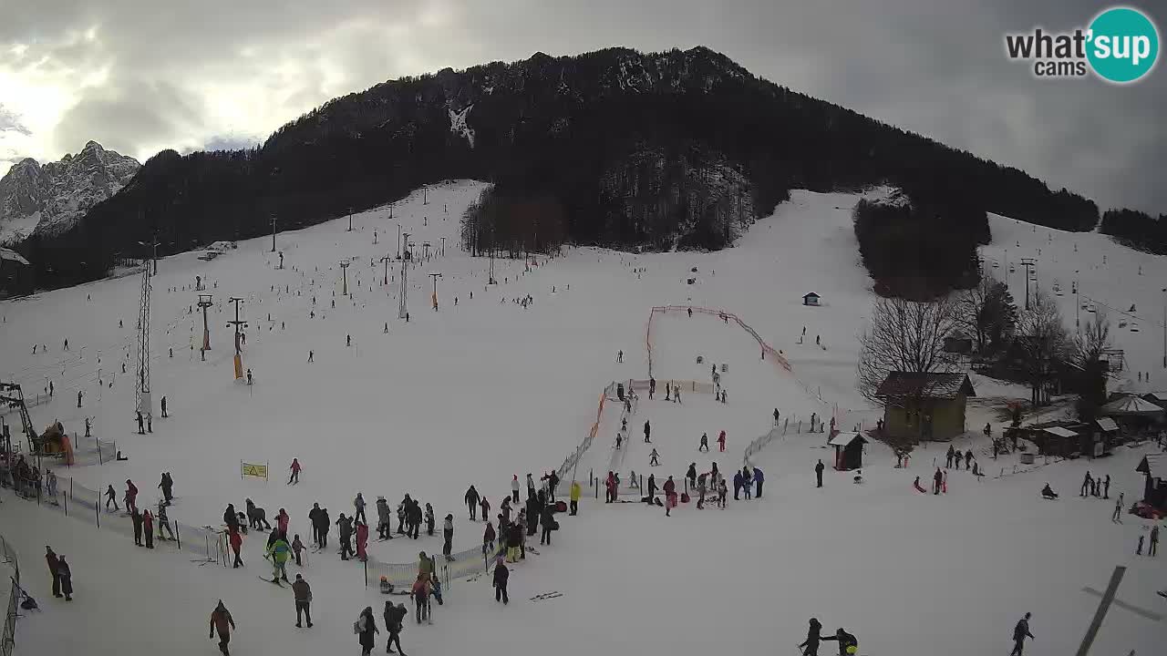 Kranjska Gora SKI area | Mojca – Rožle – Kekec ski sloap