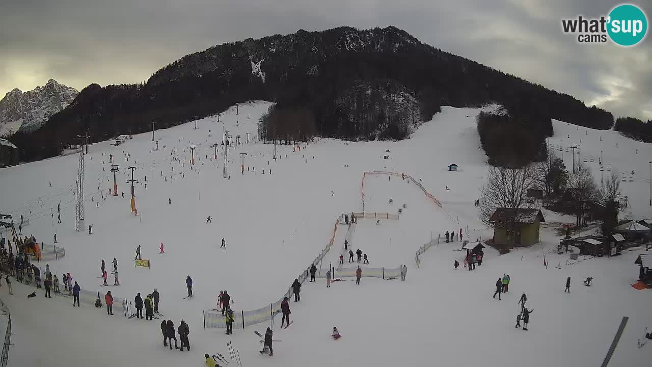 Kranjska Gora SKI area | Mojca – Rožle – Kekec ski sloap