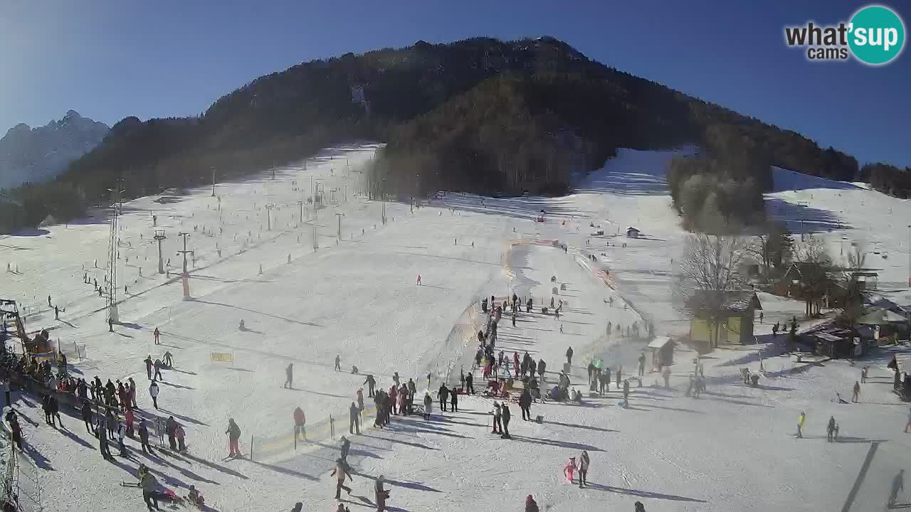 Meteo Kranjska Gora webcam | Piste da sci Kekec – Mojca – Rožle