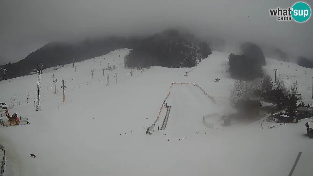 Kranjska Gora Slowenien webcam | Skigebiet Mojca – Rožle – Kekec