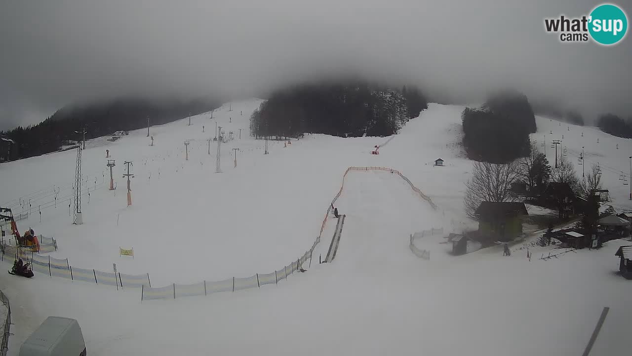 Meteo Kranjska Gora webcam | Piste da sci Kekec – Mojca – Rožle