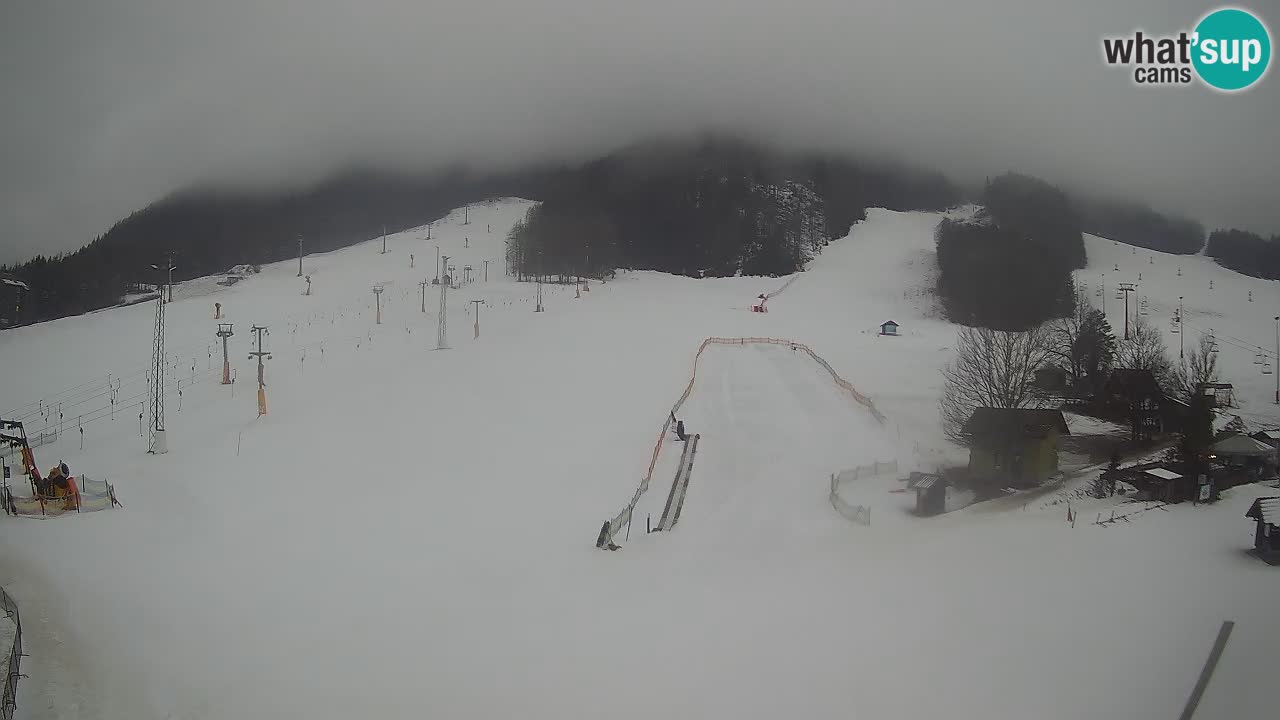 Kranjska Gora Slowenien webcam | Skigebiet Mojca – Rožle – Kekec