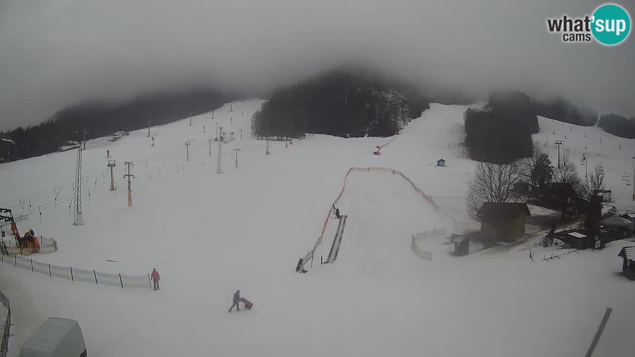 Kranjska Gora Slovénie webcam | Ski Mojca – Rožle – Kekec