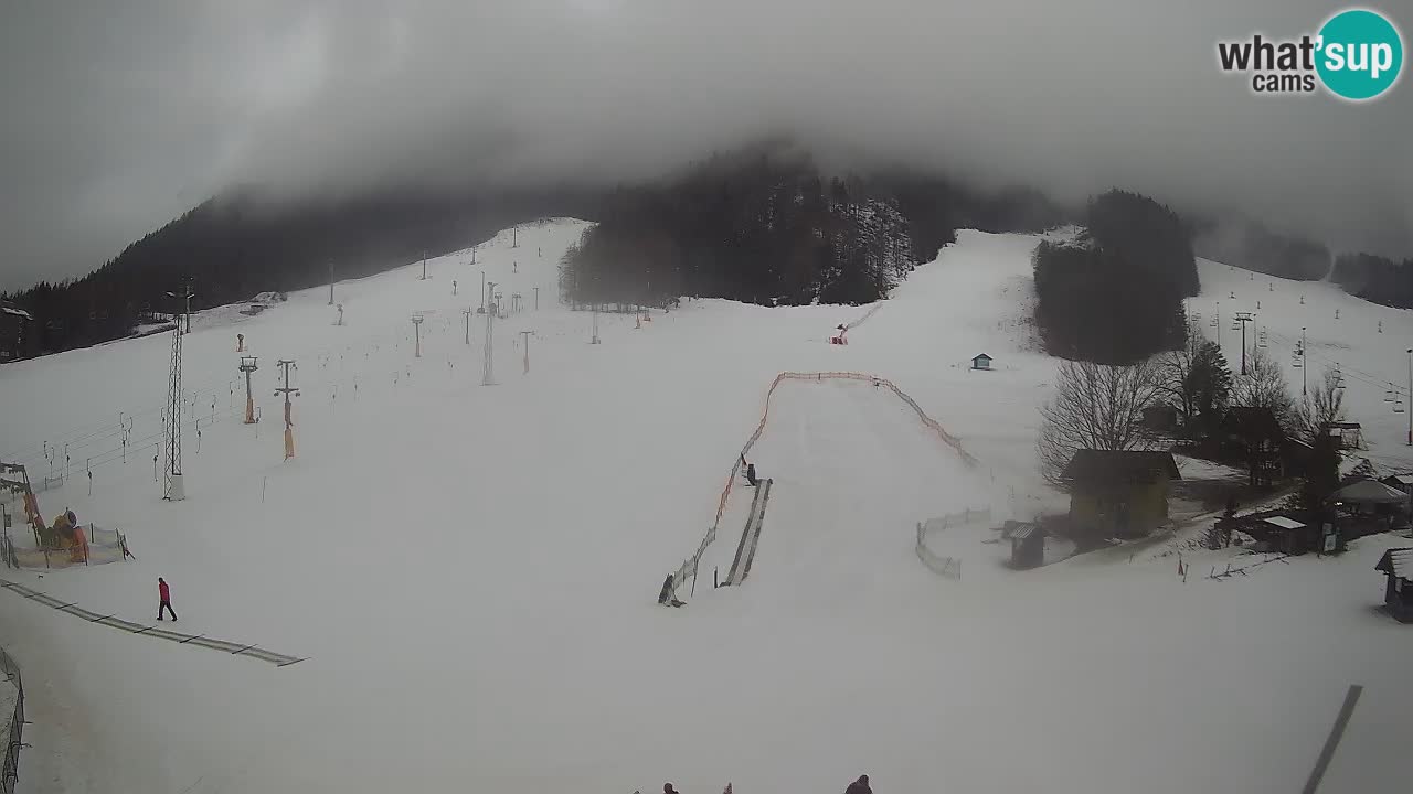 Meteo Kranjska Gora webcam | Piste da sci Kekec – Mojca – Rožle