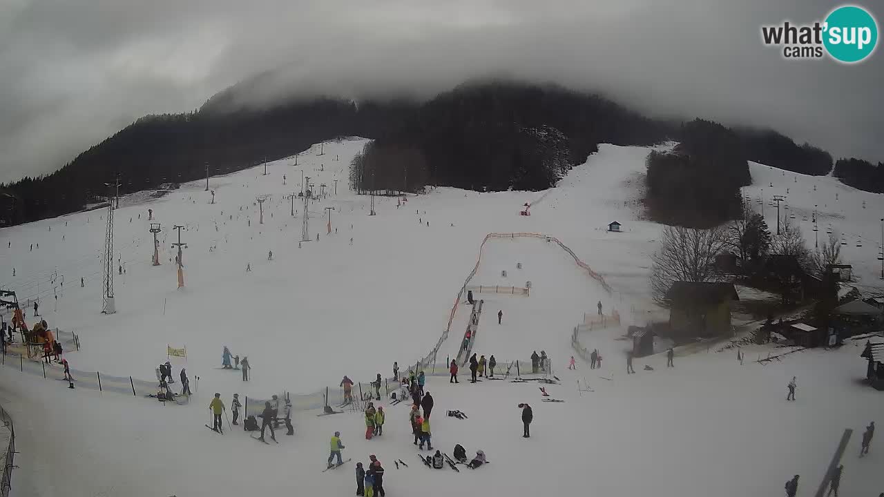 Meteo Kranjska Gora webcam | Piste da sci Kekec – Mojca – Rožle