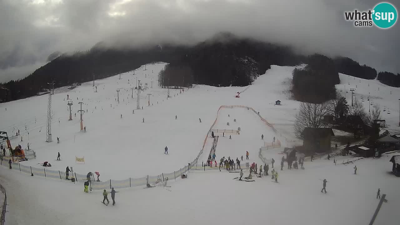 Meteo Kranjska Gora webcam | Piste da sci Kekec – Mojca – Rožle