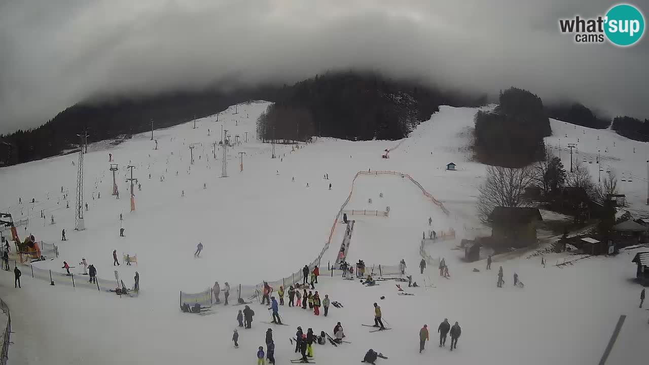 Meteo Kranjska Gora webcam | Piste da sci Kekec – Mojca – Rožle