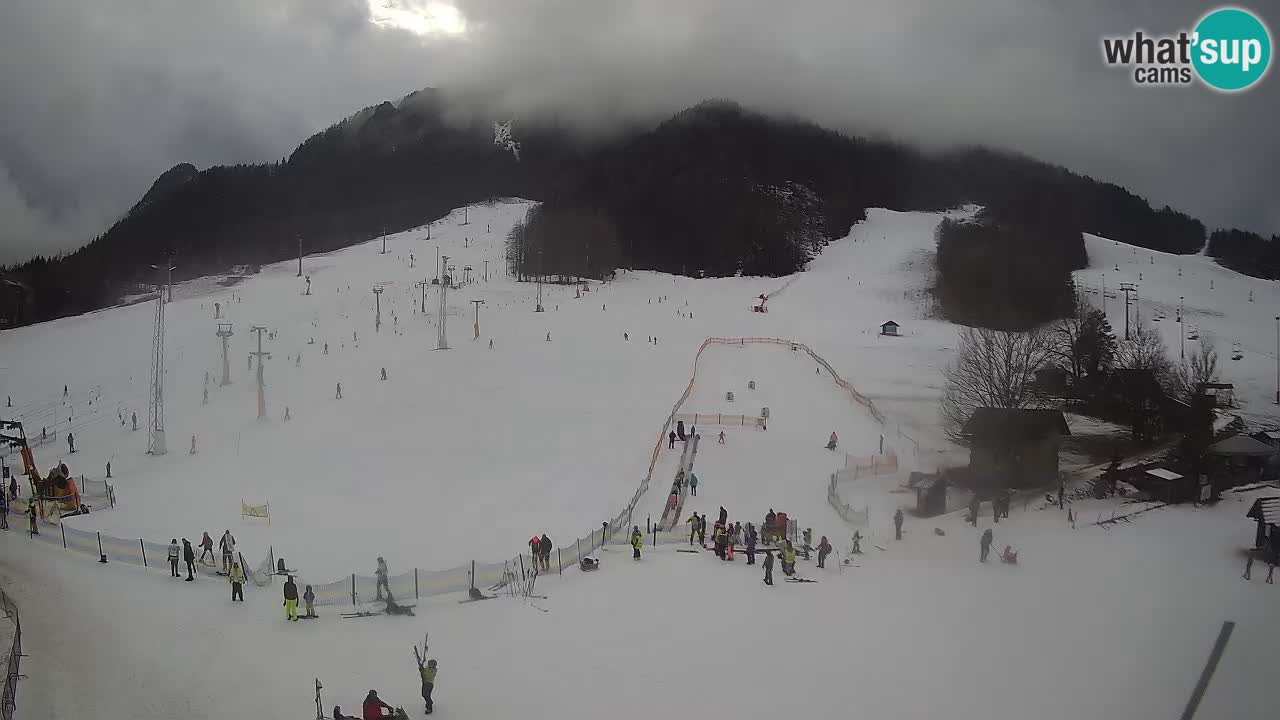 Meteo Kranjska Gora webcam | Piste da sci Kekec – Mojca – Rožle