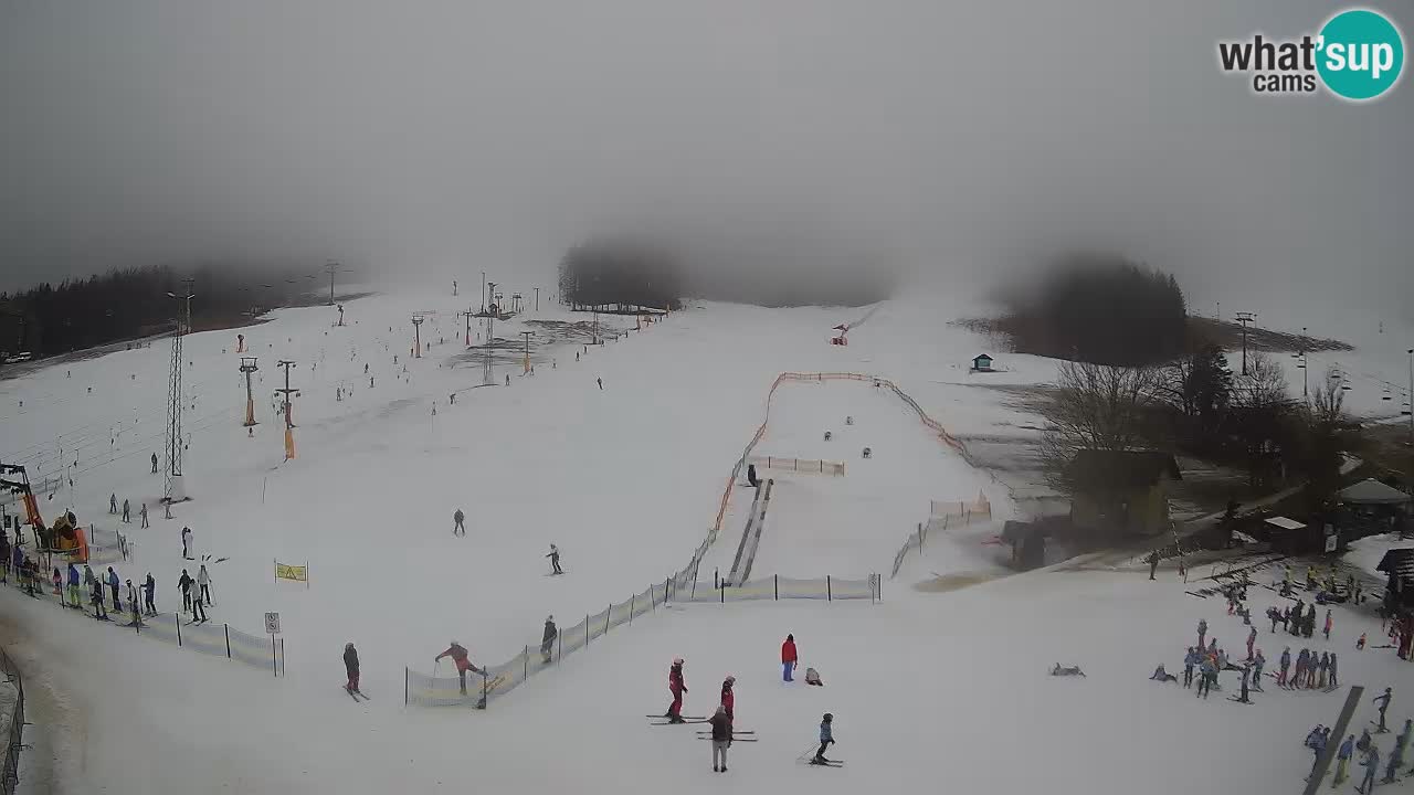 Meteo Kranjska Gora webcam | Piste da sci Kekec – Mojca – Rožle