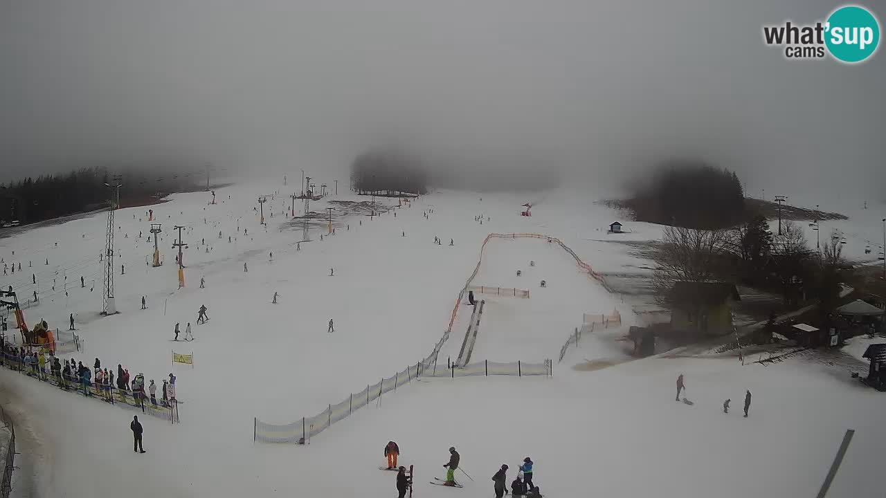 Meteo Kranjska Gora webcam | Piste da sci Kekec – Mojca – Rožle