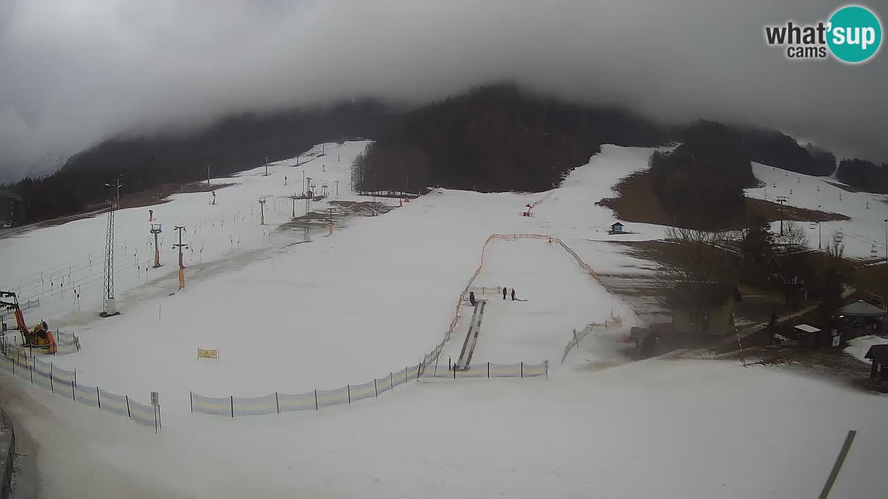 Kranjska Gora Slowenien webcam | Skigebiet Mojca – Rožle – Kekec