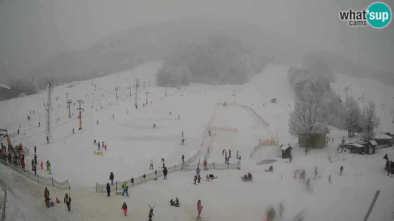 Tiempo Kranjska Gora webcam | Esquí Mojca – Rožle – Kekec