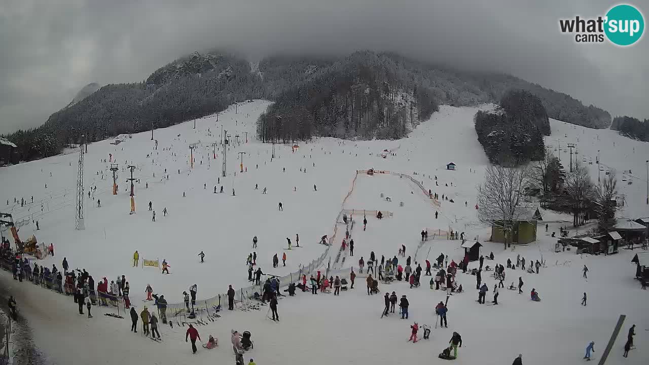 Kranjska Gora Slovénie webcam | Ski Mojca – Rožle – Kekec