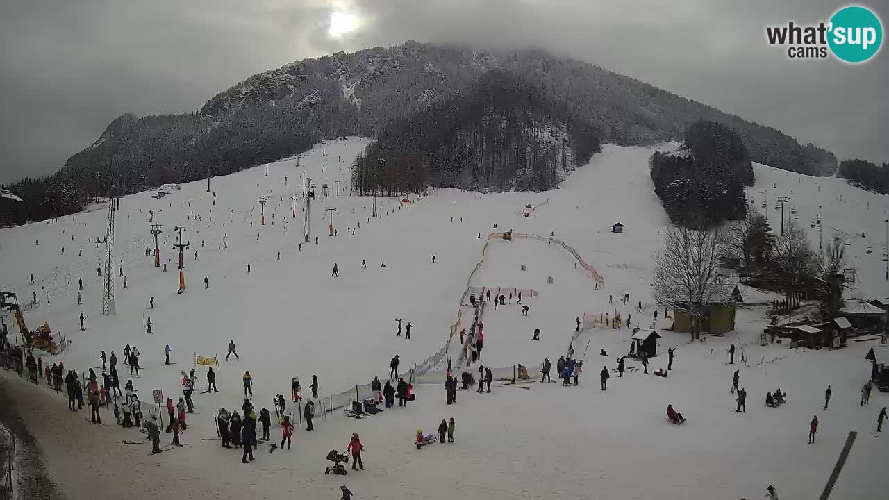 Kranjska Gora Slowenien webcam | Skigebiet Mojca – Rožle – Kekec