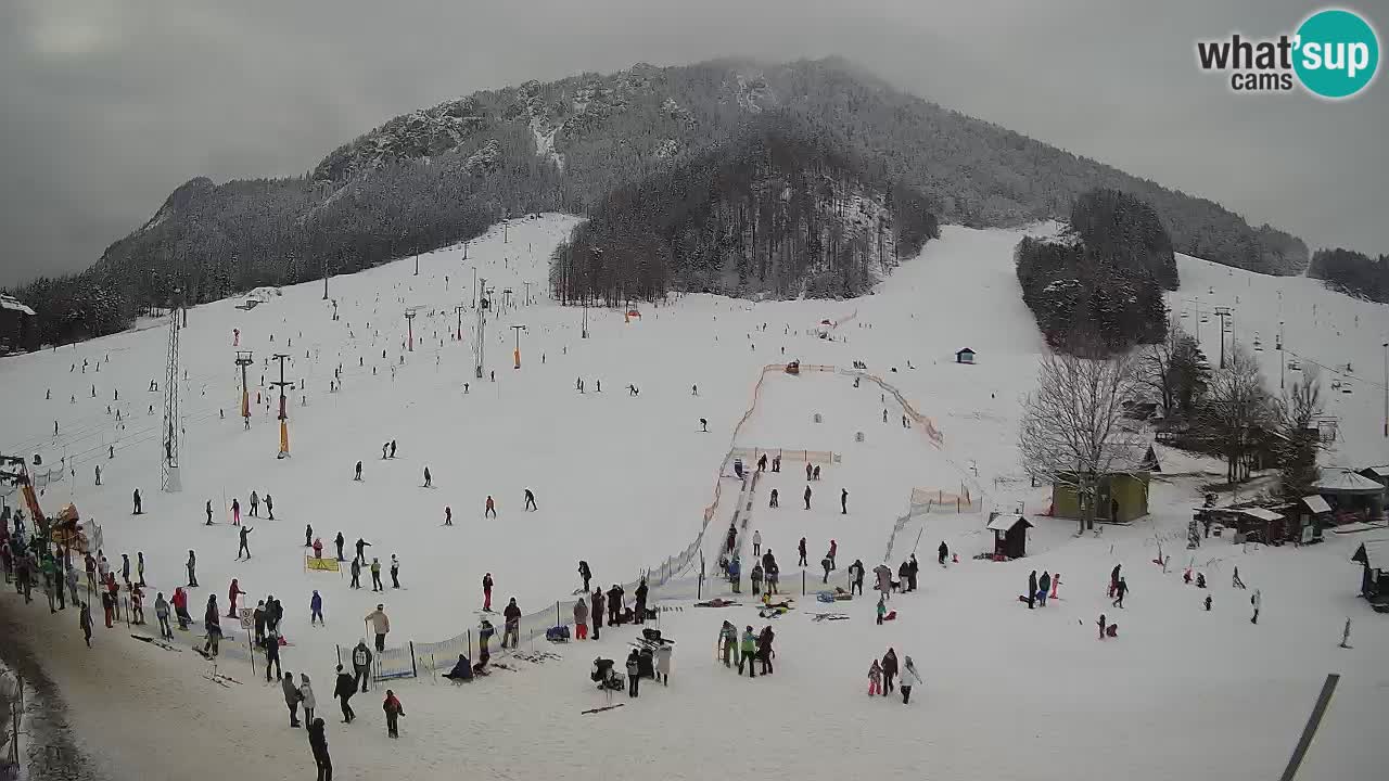 Kranjska Gora Slovénie webcam | Ski Mojca – Rožle – Kekec