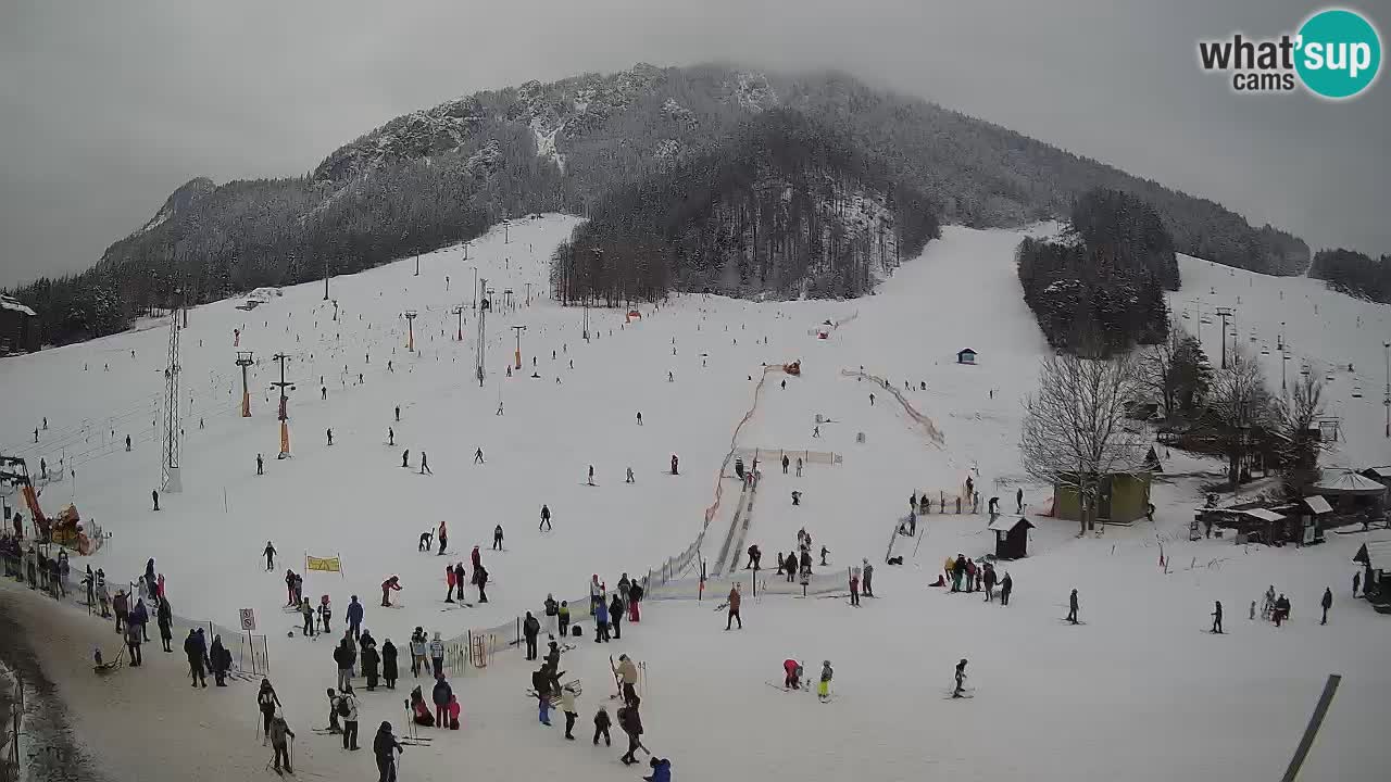 Kranjska Gora vrijeme webcam | Skijalište Mojca – Rožle – Kekec