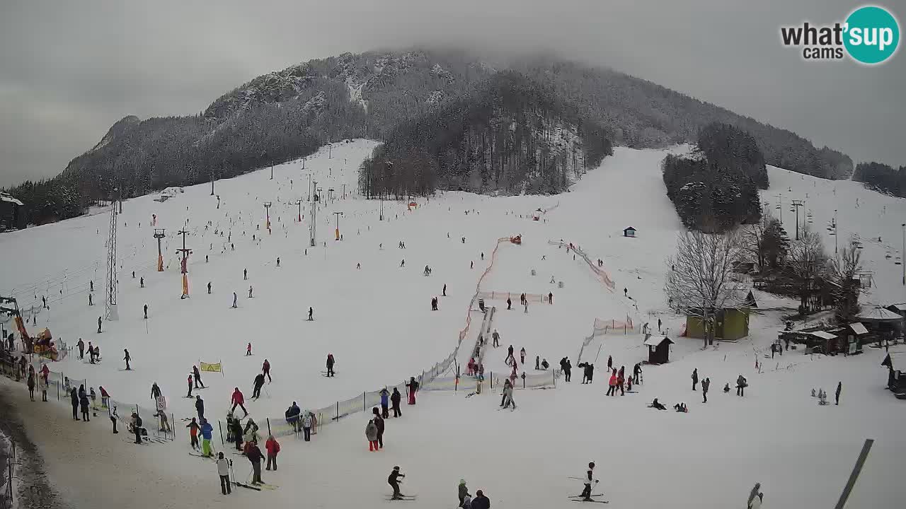 Kranjska Gora vrijeme webcam | Skijalište Mojca – Rožle – Kekec