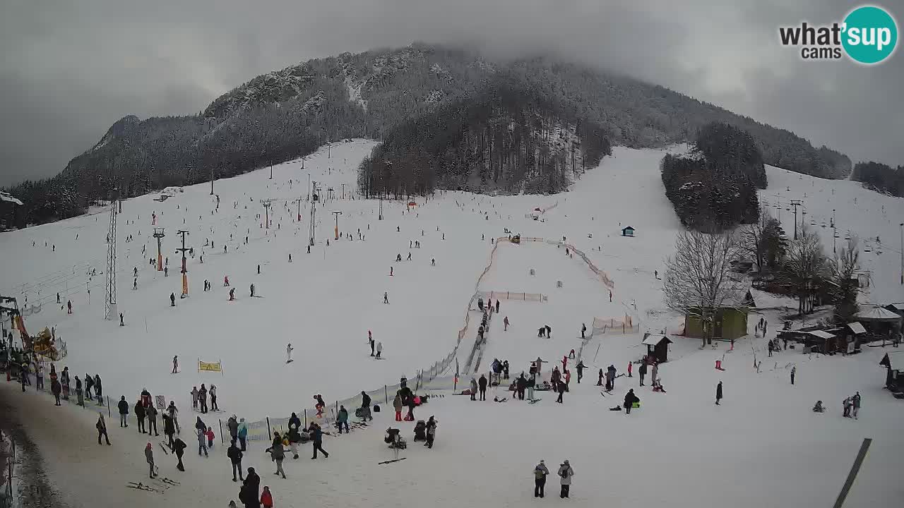 Kranjska Gora Slowenien webcam | Skigebiet Mojca – Rožle – Kekec