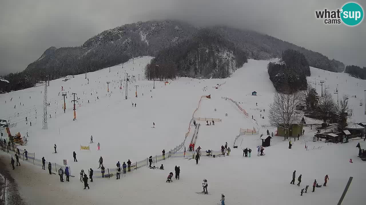 Kranjska Gora Slovénie webcam | Ski Mojca – Rožle – Kekec