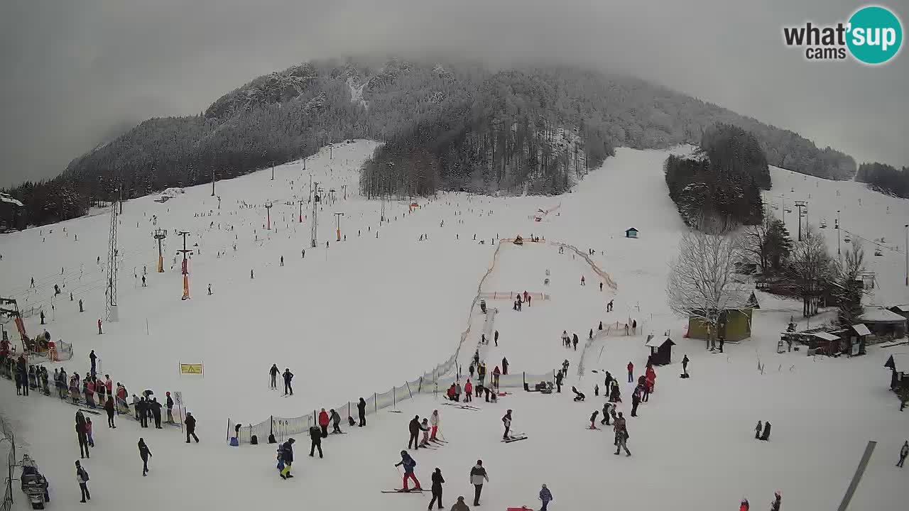 Meteo Kranjska Gora webcam | Piste da sci Kekec – Mojca – Rožle