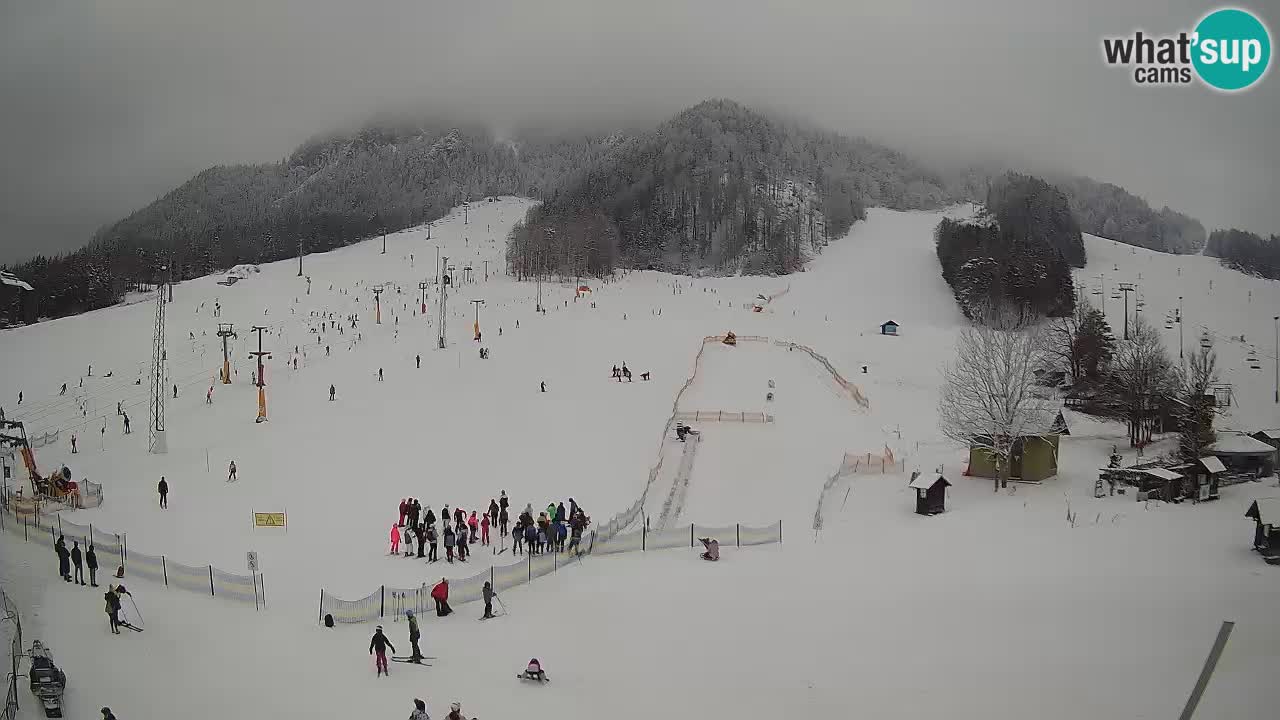 Kranjska Gora vrijeme webcam | Skijalište Mojca – Rožle – Kekec