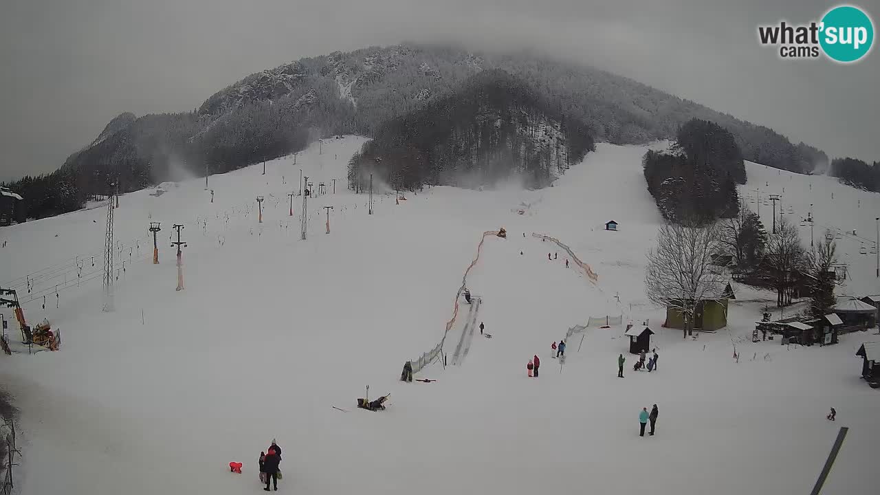 Kranjska Gora Slovénie webcam | Ski Mojca – Rožle – Kekec