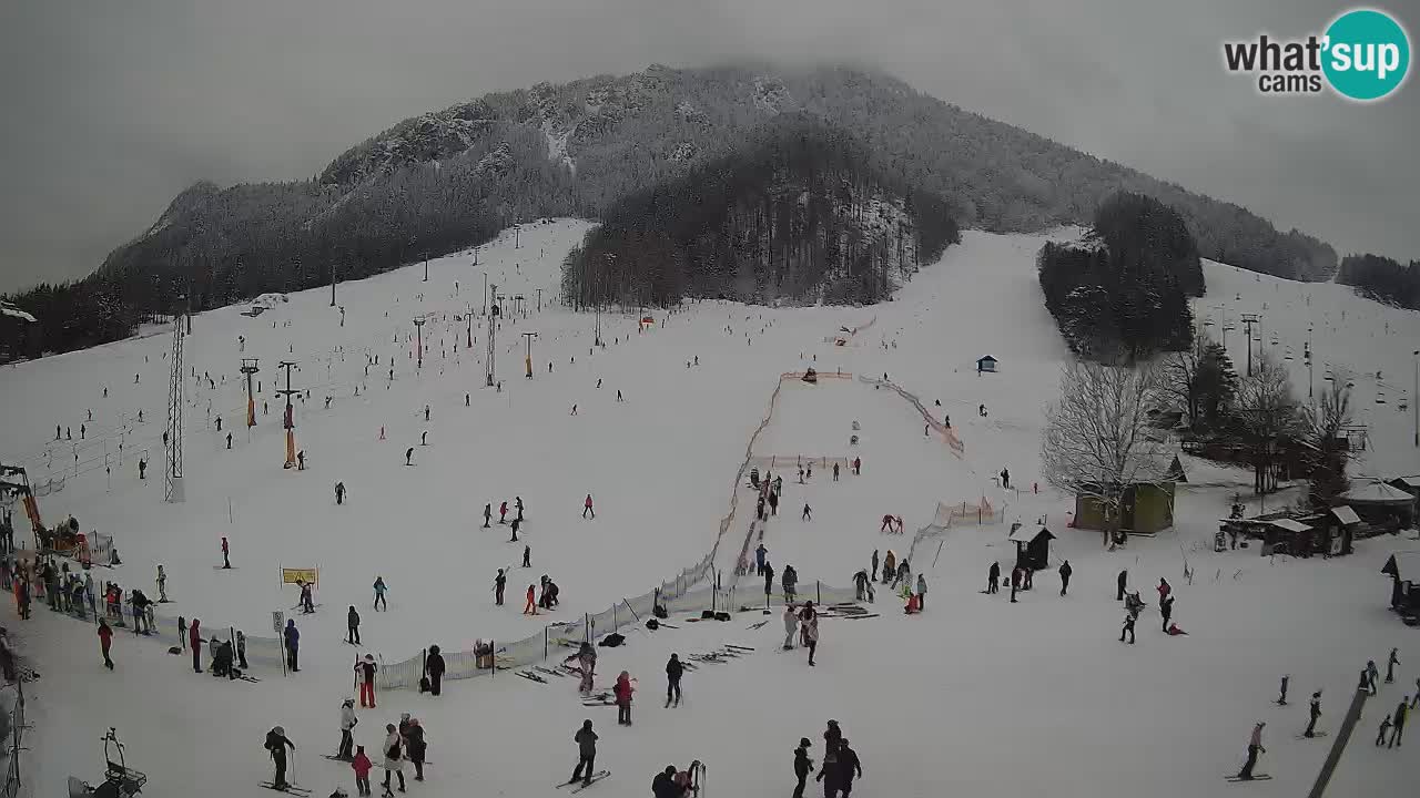 Kranjska Gora vrijeme webcam | Skijalište Mojca – Rožle – Kekec