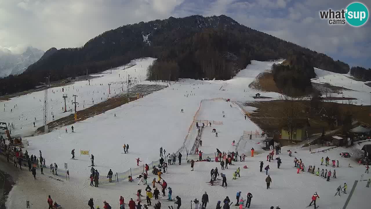 Meteo Kranjska Gora webcam | Piste da sci Kekec – Mojca – Rožle