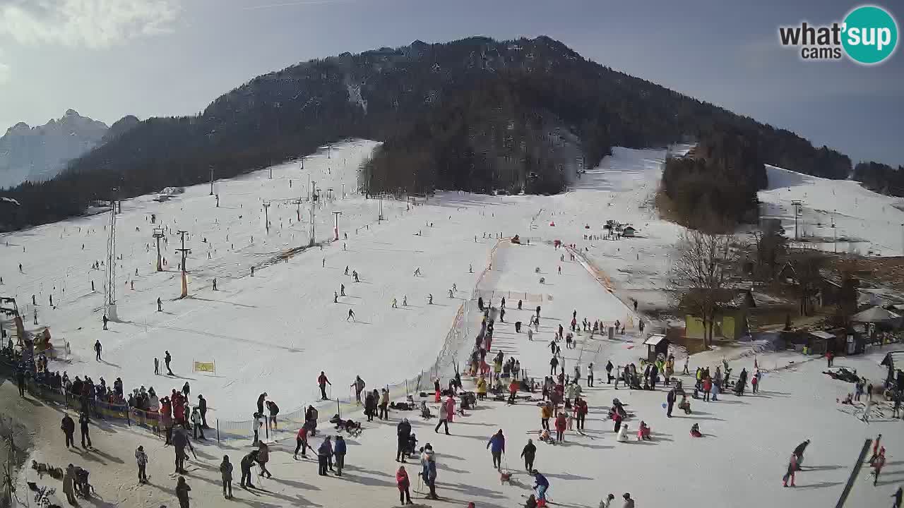 Meteo Kranjska Gora webcam | Piste da sci Kekec – Mojca – Rožle