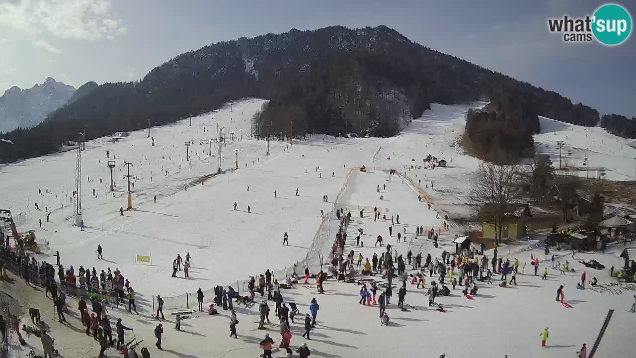 Meteo Kranjska Gora webcam | Piste da sci Kekec – Mojca – Rožle