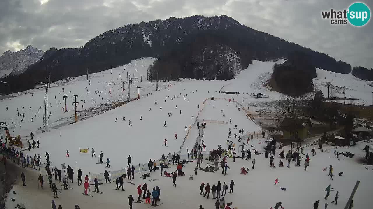 Meteo Kranjska Gora webcam | Piste da sci Kekec – Mojca – Rožle