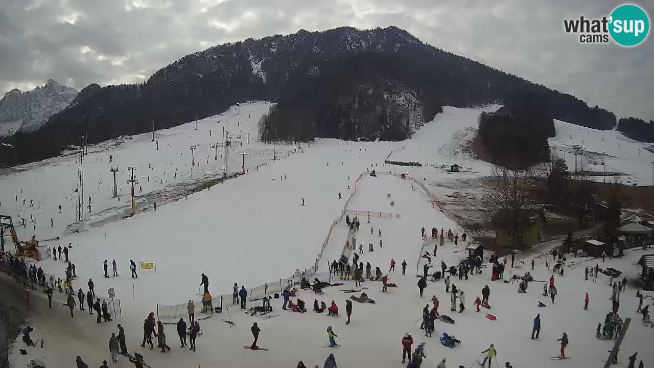 Kranjska Gora SKI area | Mojca – Rožle – Kekec ski sloap