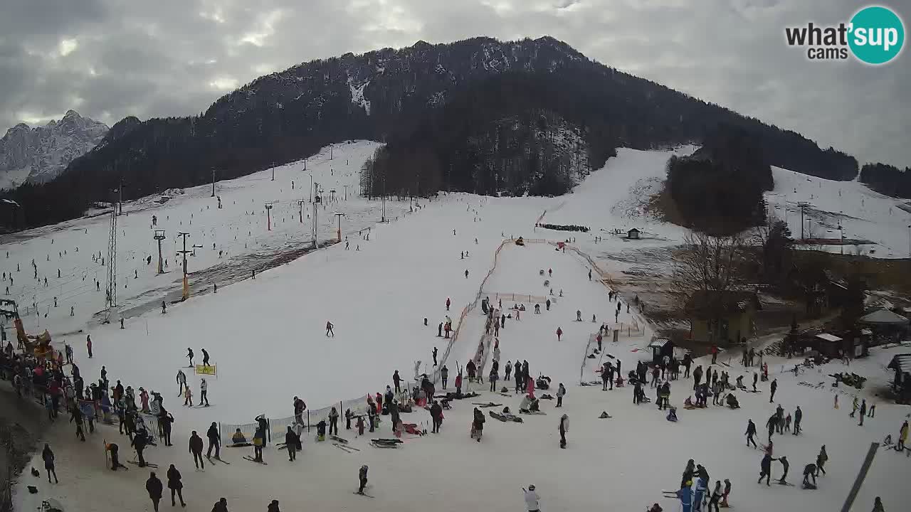 Kranjska Gora Slovénie webcam | Ski Mojca – Rožle – Kekec