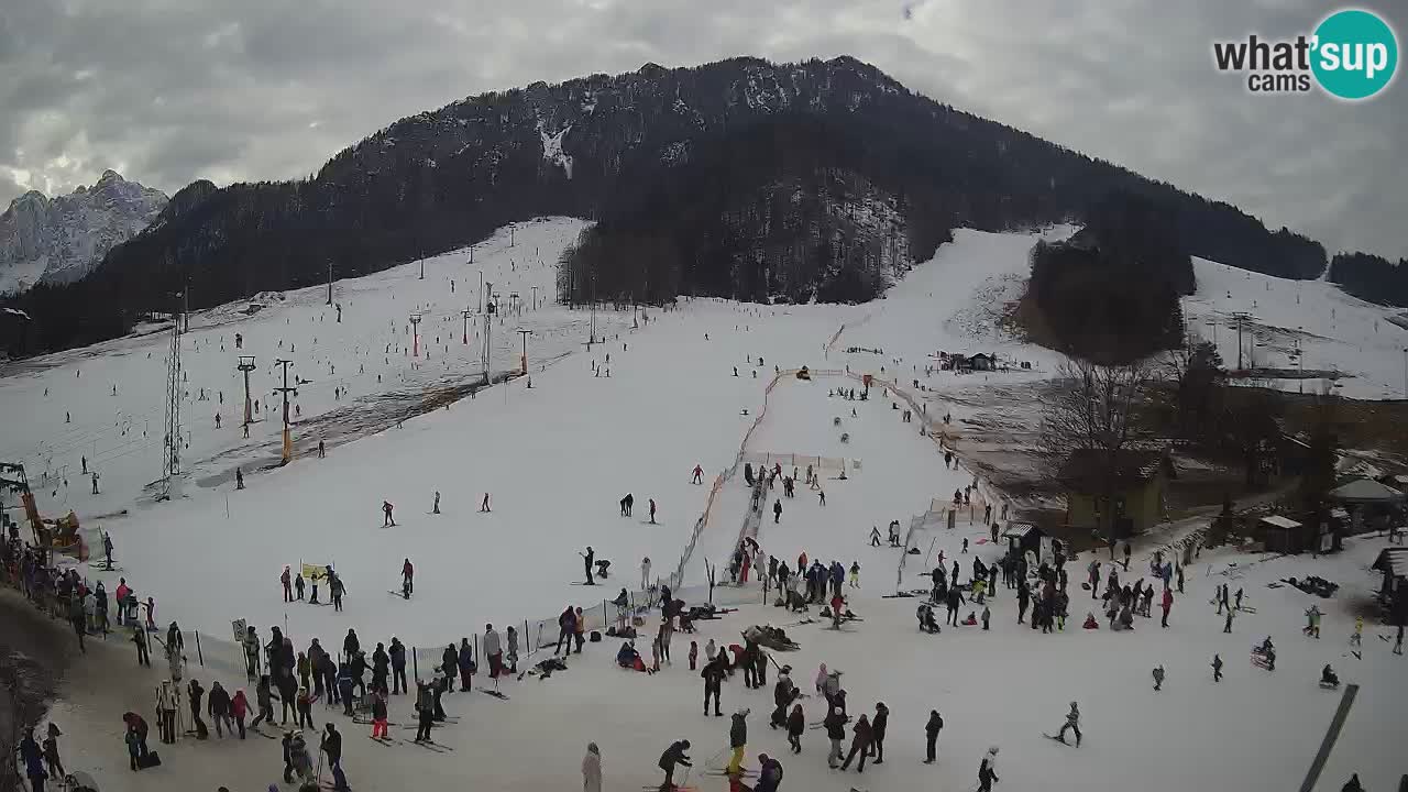 Meteo Kranjska Gora webcam | Piste da sci Kekec – Mojca – Rožle